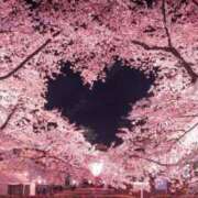 ヒメ日記 2026/03/31 08:53 投稿 のの 取手人妻快速