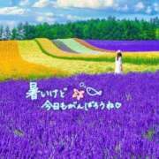 ヒメ日記 2026/07/17 12:07 投稿 のの 取手人妻快速