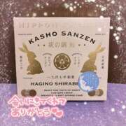 ヒメ日記 2025/07/21 20:14 投稿 うさぎ 吉原ファーストレディ
