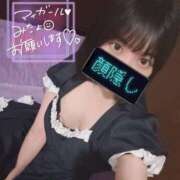 ヒメ日記 2025/08/03 14:06 投稿 うさぎ 吉原ファーストレディ