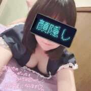 ヒメ日記 2025/08/12 12:09 投稿 うさぎ 吉原ファーストレディ
