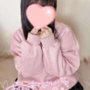 ヒメ日記 2025/09/14 12:13 投稿 うさぎ 吉原ファーストレディ