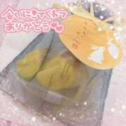 ヒメ日記 2025/09/15 18:50 投稿 うさぎ 吉原ファーストレディ