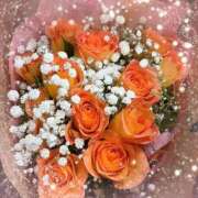 ヒメ日記 2025/11/14 23:43 投稿 うさぎ 吉原ファーストレディ