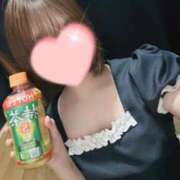 ヒメ日記 2025/12/14 13:12 投稿 うさぎ 吉原ファーストレディ