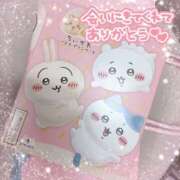 ヒメ日記 2025/12/14 17:56 投稿 うさぎ 吉原ファーストレディ