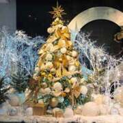 ヒメ日記 2025/12/18 19:36 投稿 うさぎ 吉原ファーストレディ