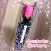 ヒメ日記 2026/06/24 00:16 投稿 うさぎ 吉原ファーストレディ