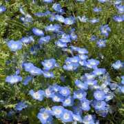 あさひ 体調治らない、何故〜(´•̥ω•̥｀) 白いぽっちゃりさん五反田店