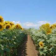 ヒメ日記 2025/08/07 12:31 投稿 まみ 取手人妻快速