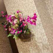 ヒメ日記 2025/08/27 12:03 投稿 まみ 取手人妻快速