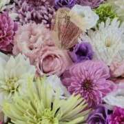 ヒメ日記 2025/09/12 12:30 投稿 まみ 取手人妻快速