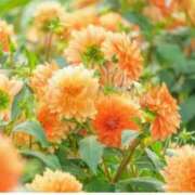 ヒメ日記 2025/09/20 10:00 投稿 まみ 取手人妻快速