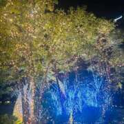 ヒメ日記 2025/12/18 18:02 投稿 まみ 取手人妻快速