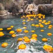 ヒメ日記 2025/12/24 13:01 投稿 まみ 取手人妻快速