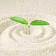 ヒメ日記 2025/07/30 13:15 投稿 りこ 取手人妻快速