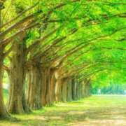 ヒメ日記 2025/08/05 11:30 投稿 りこ 取手人妻快速