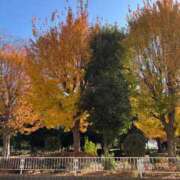 りこ 明日出勤します🤩 取手人妻快速