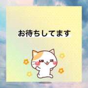 ヒメ日記 2025/08/07 09:21 投稿 なぎさ 取手人妻快速