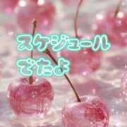 ヒメ日記 2025/08/24 08:04 投稿 なぎさ 取手人妻快速