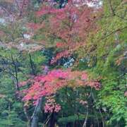 ヒメ日記 2025/11/15 19:58 投稿 なぎさ 取手人妻快速