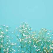 ヒメ日記 2025/07/17 10:20 投稿 さき 取手人妻快速