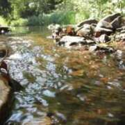 ヒメ日記 2025/07/25 22:17 投稿 さき 取手人妻快速