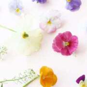 ヒメ日記 2025/07/29 16:01 投稿 さき 取手人妻快速