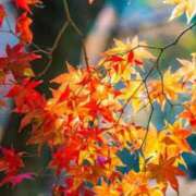 ヒメ日記 2025/09/25 12:17 投稿 さき 取手人妻快速