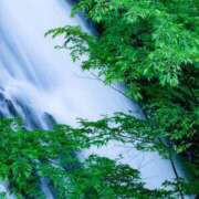 ヒメ日記 2025/09/30 13:01 投稿 さき 取手人妻快速