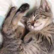 ヒメ日記 2025/10/19 19:00 投稿 さき 取手人妻快速