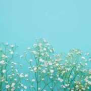 ヒメ日記 2025/11/20 12:04 投稿 さき 取手人妻快速