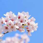 ヒメ日記 2026/02/22 13:01 投稿 さき 取手人妻快速