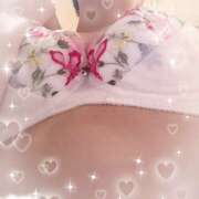 ヒメ日記 2025/07/16 09:08 投稿 くれは 阪神人妻花壇