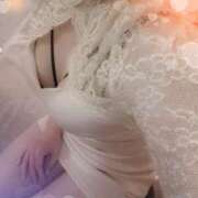 ヒメ日記 2025/07/29 21:26 投稿 星乃きら Picasso(ピカソ)