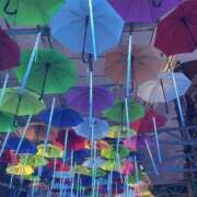 ヒメ日記 2025/08/29 11:07 投稿 星乃きら Picasso(ピカソ)