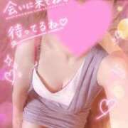 ヒメ日記 2026/08/30 20:23 投稿 星乃きら 熊本ピカソ