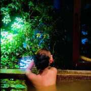 ヒメ日記 2025/12/23 10:23 投稿 諏訪路（すわろ） NOA（ノア）