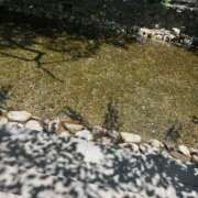 ヒメ日記 2025/07/21 18:14 投稿 夏川　あい #性欲解放区