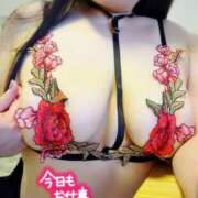 ヒメ日記 2026/04/13 22:30 投稿 ゆずな 奥鉄オクテツ大阪