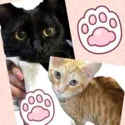 ヒメ日記 2025/07/22 13:59 投稿 おと THE ESUTE HOUSE 柴田