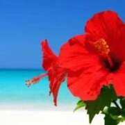 ヒメ日記 2025/07/11 16:38 投稿 しずく 熟女の風俗最終章 沼津店