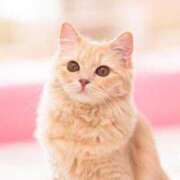 ヒメ日記 2025/07/12 08:13 投稿 しずく 熟女の風俗最終章 沼津店