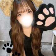 ヒメ日記 2025/11/28 17:32 投稿 らん ホワイトベル