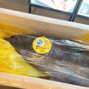 ヒメ日記 2025/08/14 12:00 投稿 くるみ ムーランルージュ