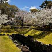 ヒメ日記 2026/04/03 19:55 投稿 さえ SWEET～berta～