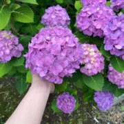 ヒメ日記 2026/06/13 17:30 投稿 立花かの 五十路マダム静岡店（カサブランカG）