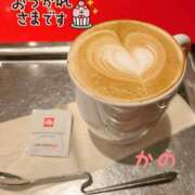 ヒメ日記 2026/06/25 14:36 投稿 立花かの 五十路マダム静岡店（カサブランカG）