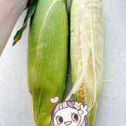 ヒメ日記 2026/07/09 07:28 投稿 立花かの 五十路マダム静岡店（カサブランカG）