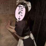 ヒメ日記 2025/10/17 07:47 投稿 ひより ファンタジー